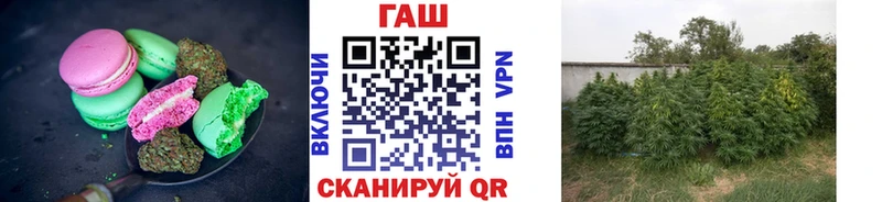 Cannafood марихуана  магазин продажи наркотиков  Сибай 