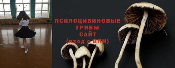 винт Аркадак