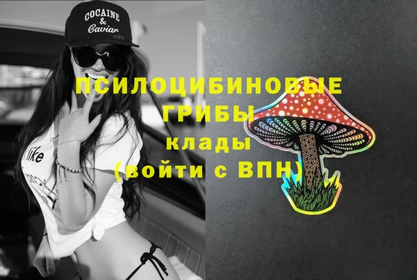 spice Армянск