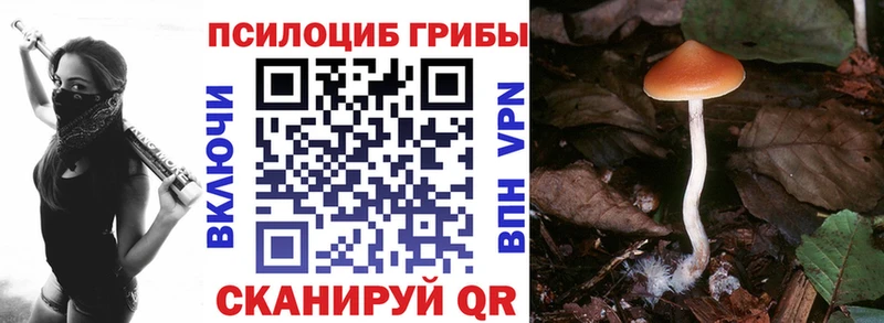 Галлюциногенные грибы Psilocybe Сибай